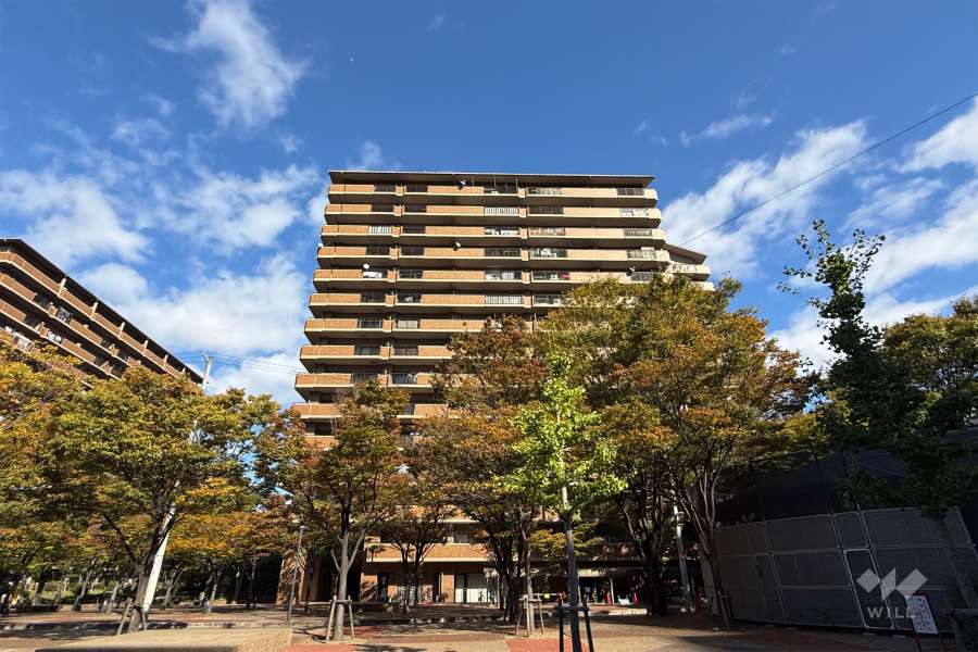 四季彩館けやき館の外観（東側から）