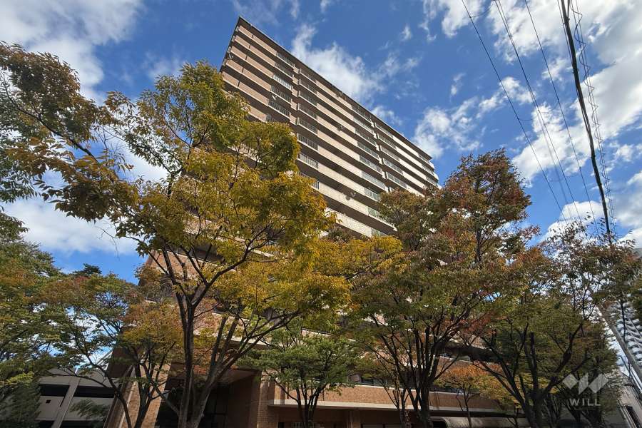 四季彩館けやき館の外観（南東側から）