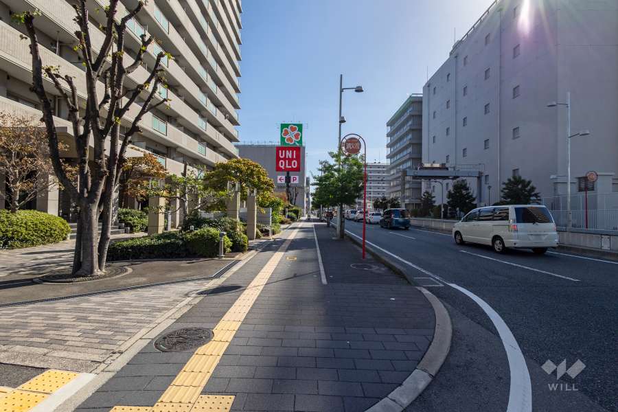 敷地西側の前面道路