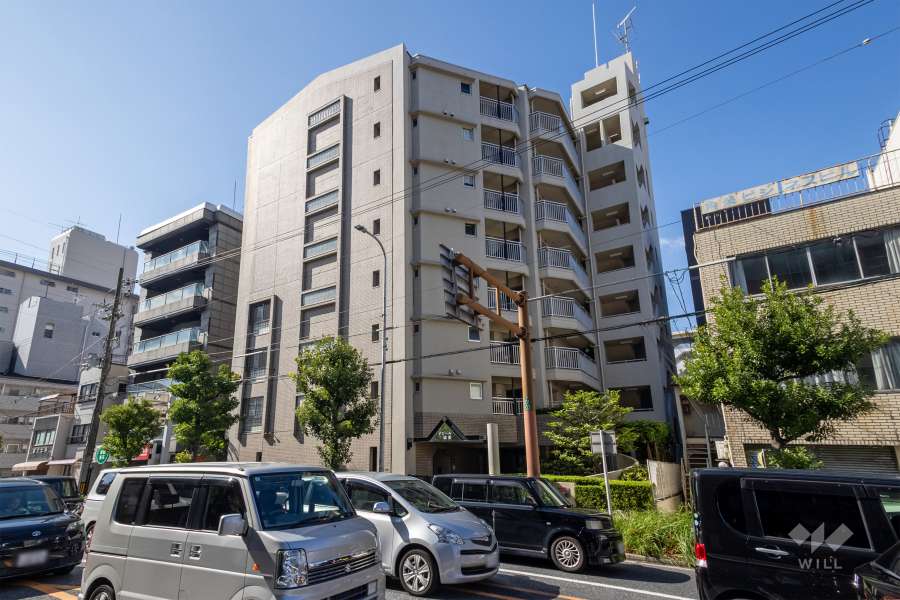ナビール城東の外観（北東側から）