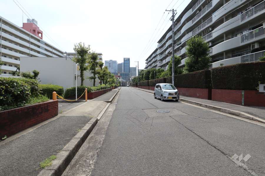 敷地南側の前面道路（東側から）