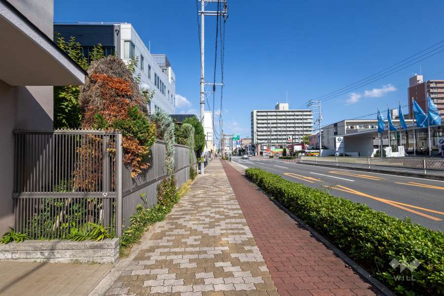 敷地東側の前面道路　