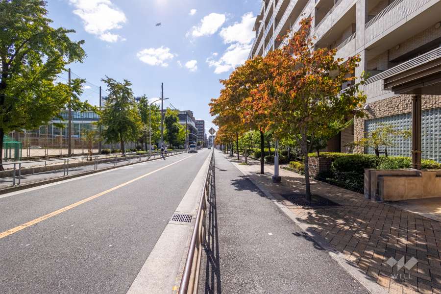 敷地東側の前面道路（北側から）