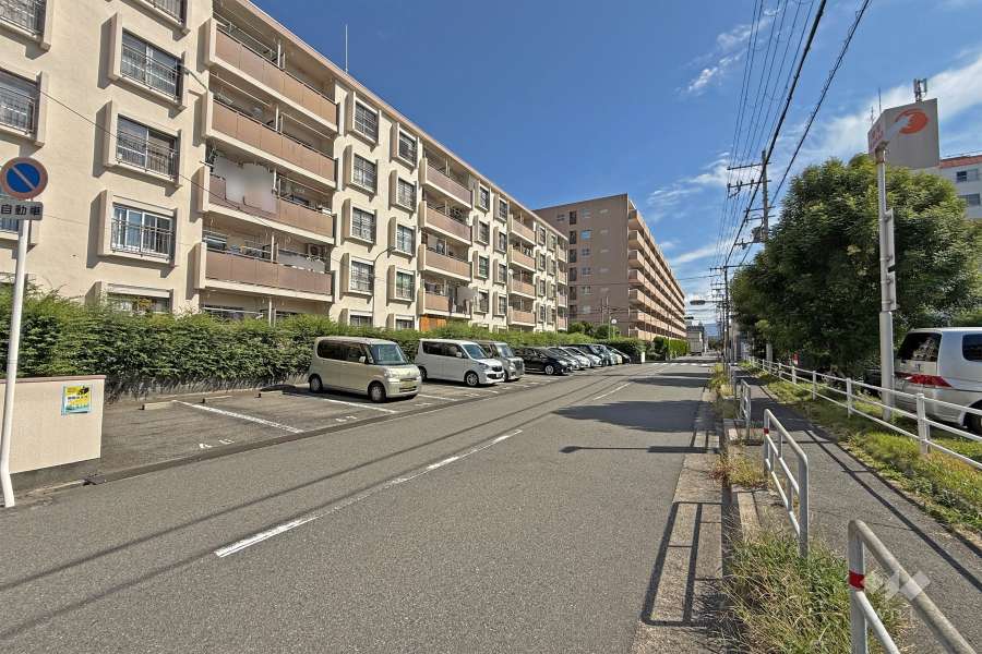 敷地南側の前面道路（西側から）