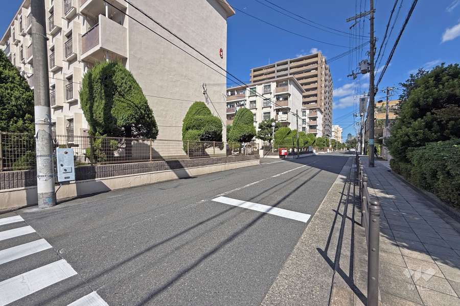 敷地東側の前面道路（南側から）