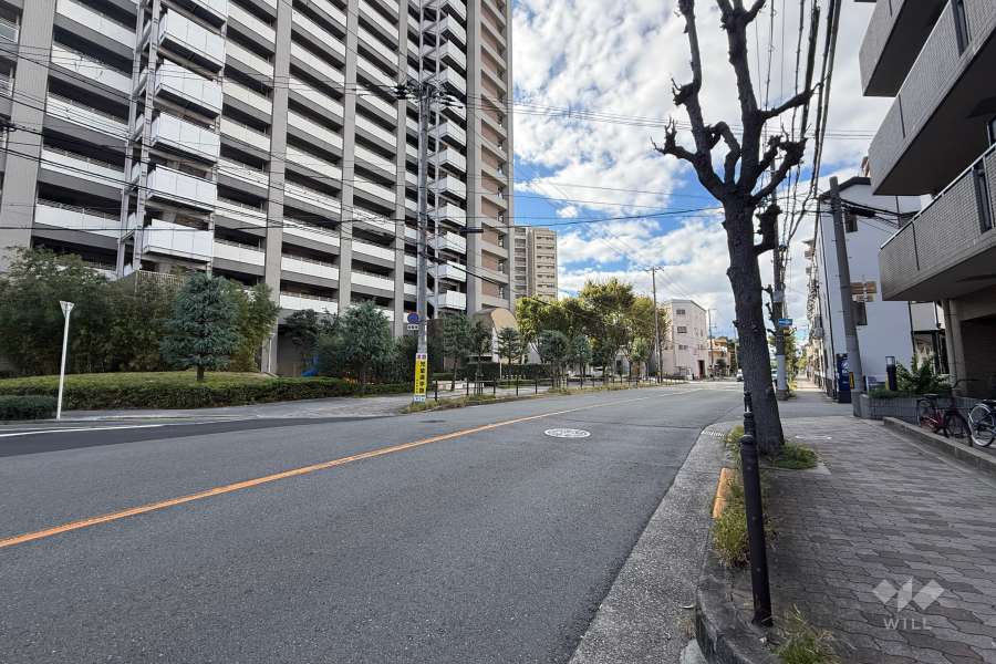 敷地南側の前面道路（東側から）