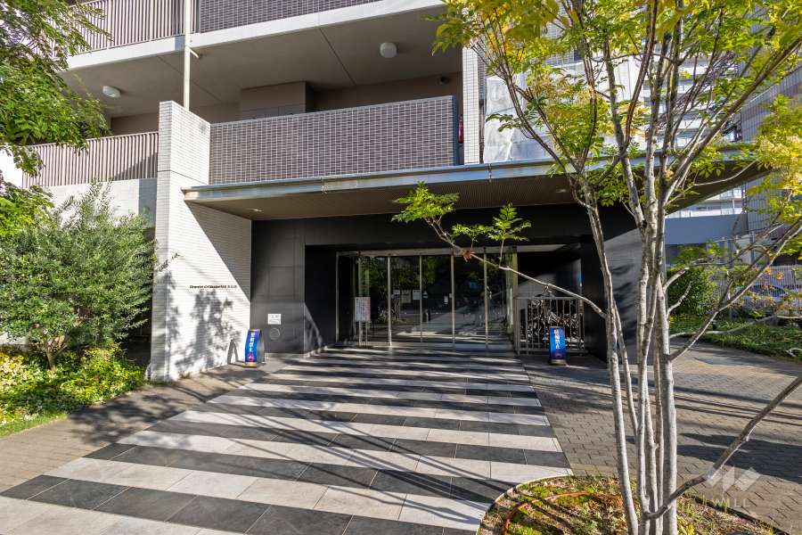 エントランスアプローチ