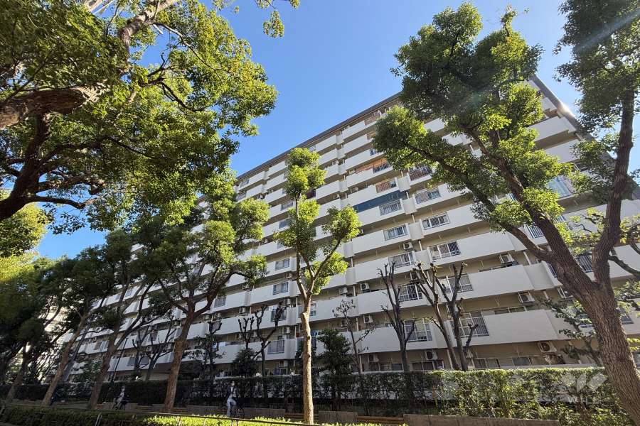 すみれ橋第2コーポ3号棟の外観（南西側から）