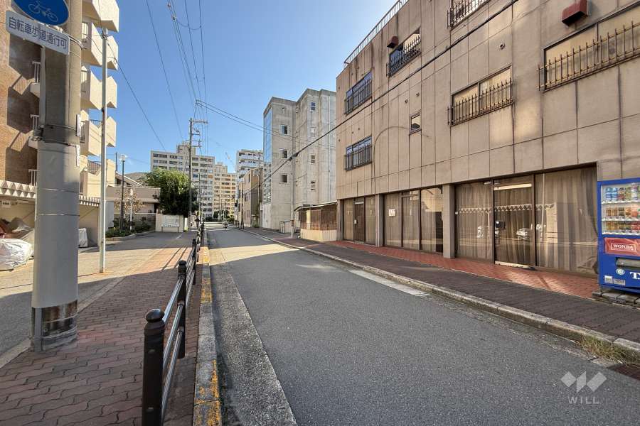 敷地南側の前面道路（西側から）