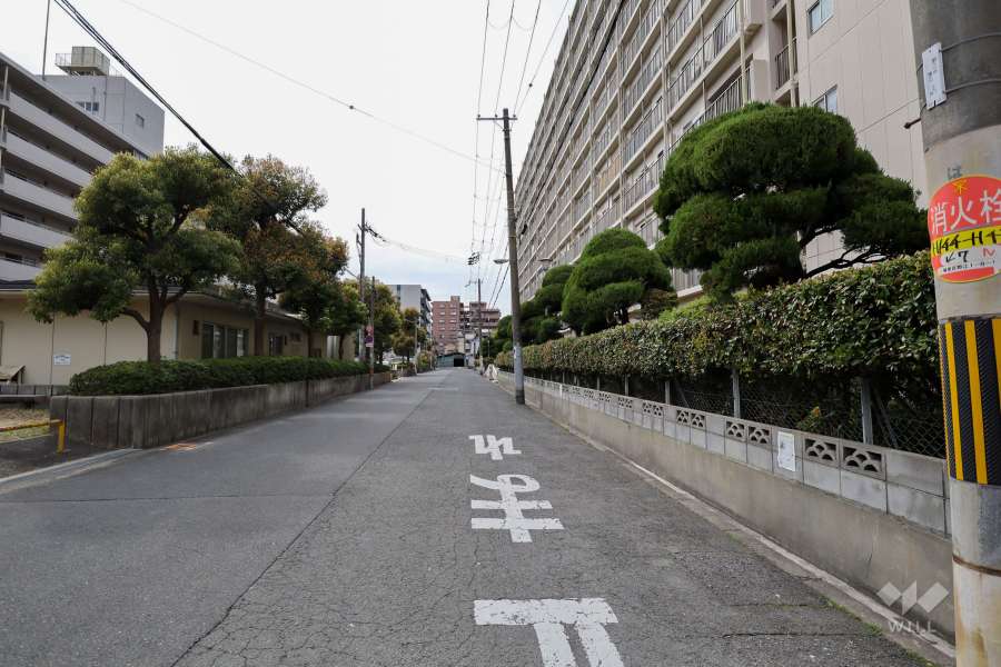敷地南側の前面道路（東側から）
