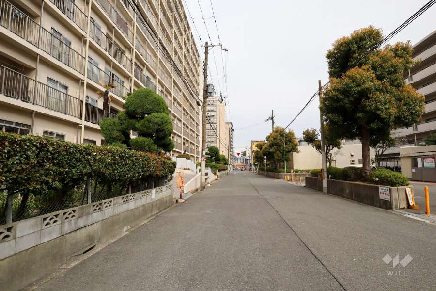 敷地南側の前面道路（西側から）