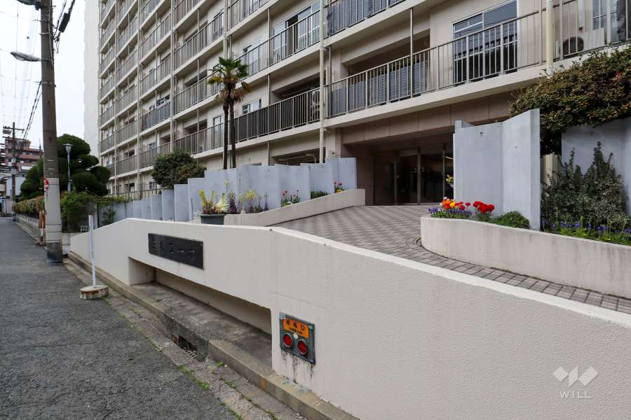 エントランスアプローチ