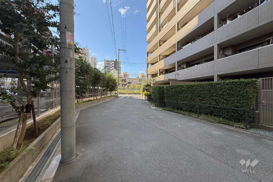 敷地南側の前面道路（東側から）
