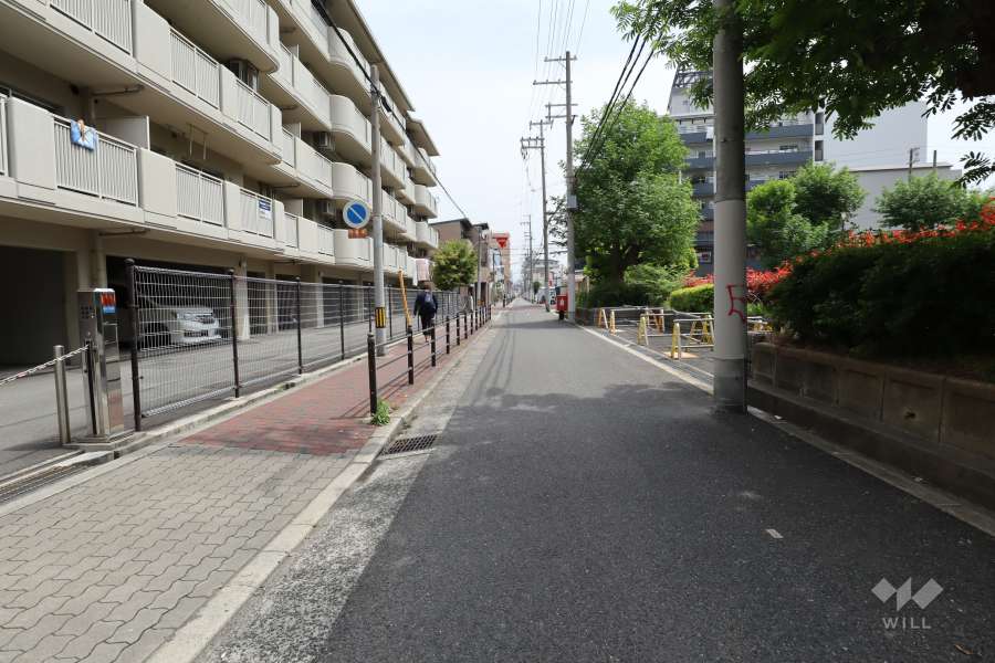 敷地南側の前面道路（西側から）