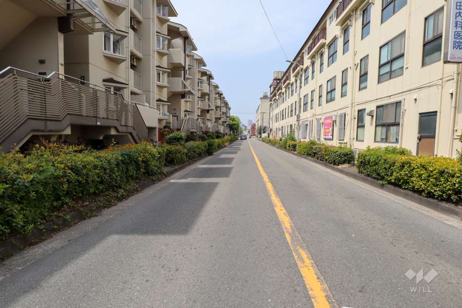 敷地北側の前面道路（東側から）