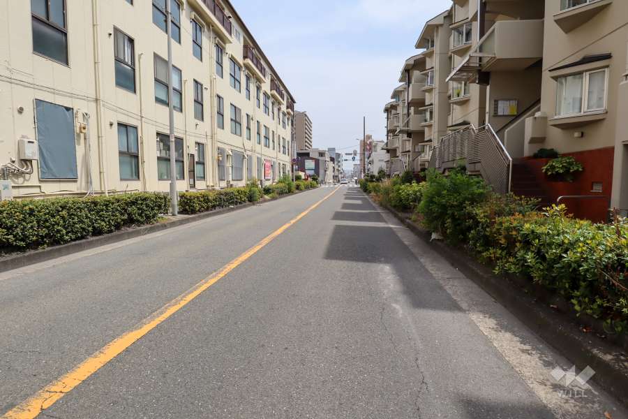 敷地北側の前面道路（西側から）