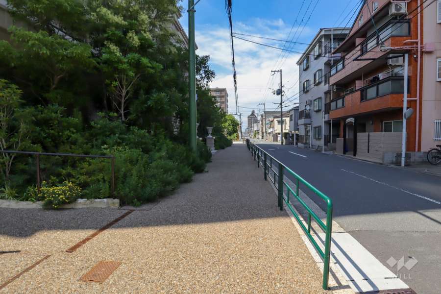 敷地東側の前面道路（南側から）