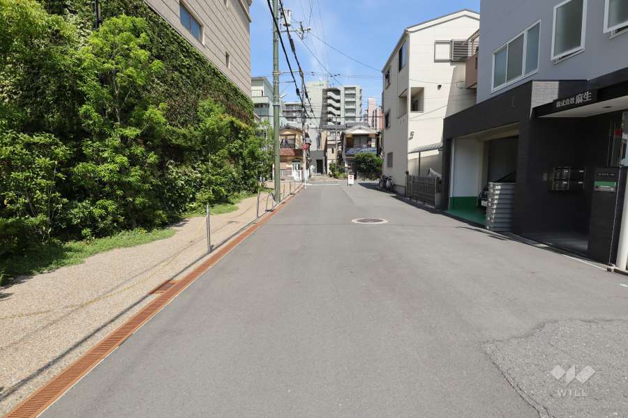 敷地南側の前面道路（西側から）
