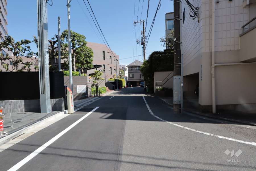 南西側の前面道路(北西側から)