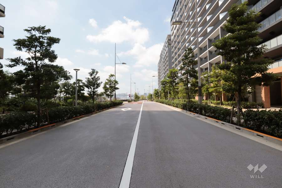 敷地南東側の前面道路(北東側から)