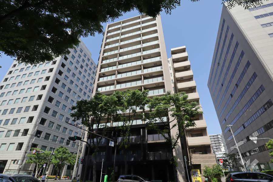 ソルティア東梅田の外観（南西側から）