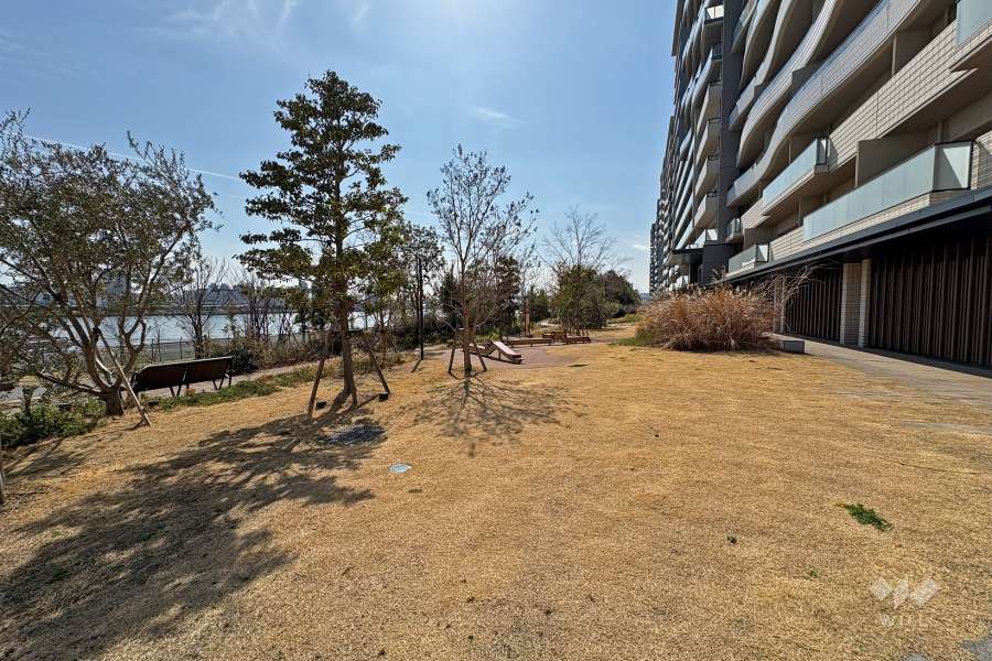 敷地内にある広場