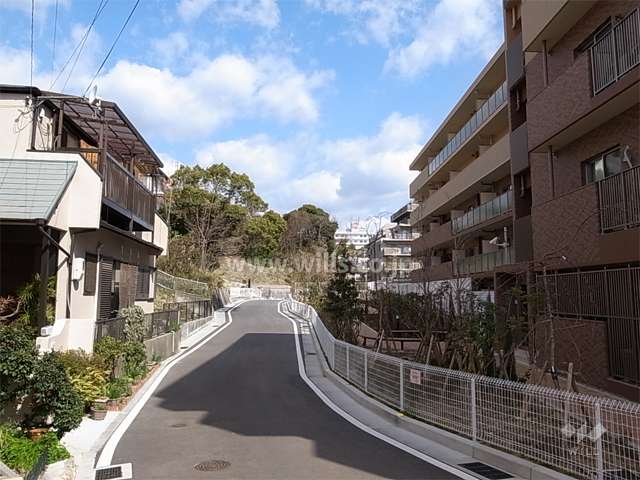 敷地西側の前面道路。西側は小高い丘になっており、木々が茂っています。