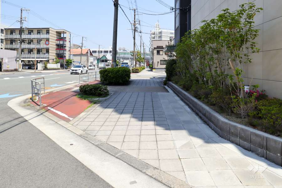 敷地北側の前面道路（西側から）
