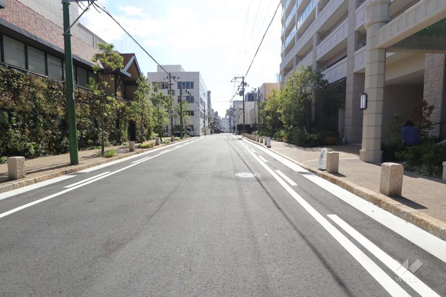 敷地東側の前面道路（南側から）