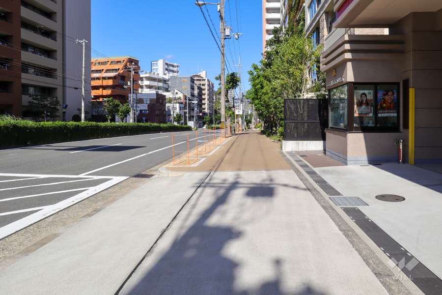 敷地西側の前面道路（南側から）