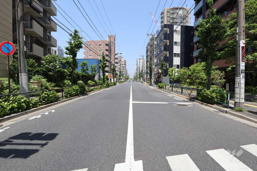 敷地西側の前面道路
