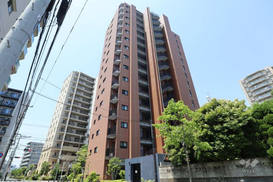 リビオレゾン北綾瀬の外観（南東側から）