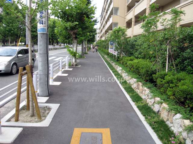 敷地の前面道路は、二車線のバス通り。道を挟んで向かい側には『西武庫公園』が広がっています。