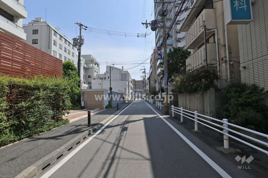 敷地南側の前面道路(西側から)