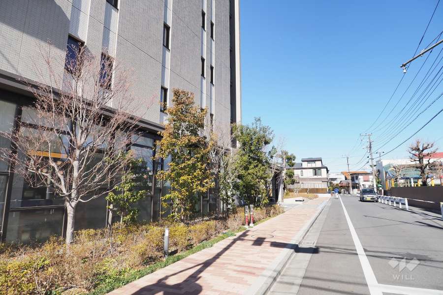 敷地東側の前面道路（南側から）