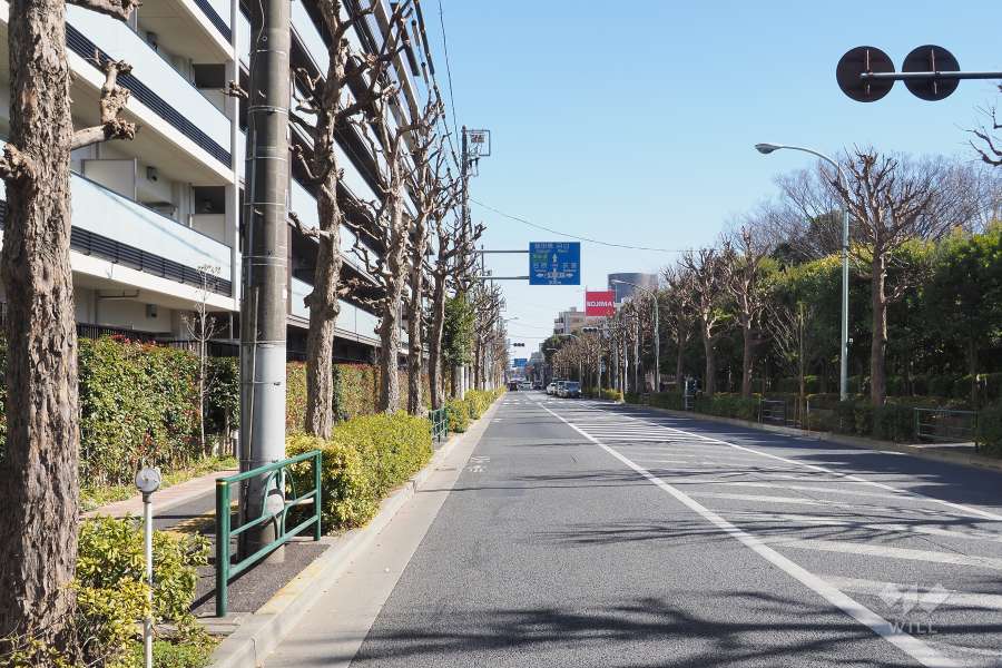 敷地南側の前面道路（西側から）