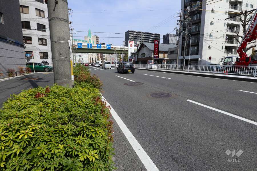 敷地南側の前面道路（西側から）