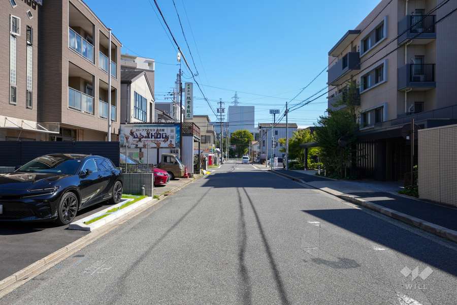 敷地南側の前面道路（西側から）