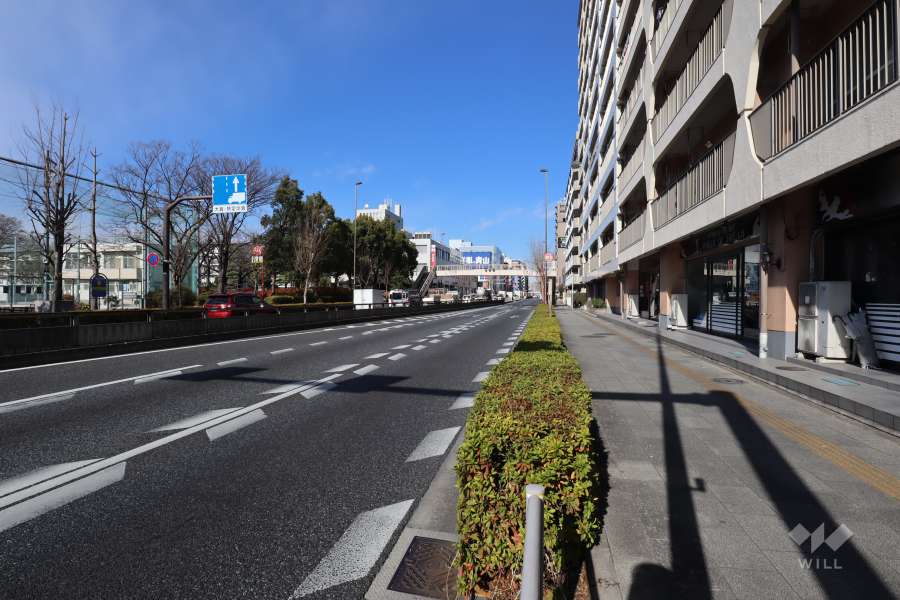 敷地西側の前面道路(南側から)
