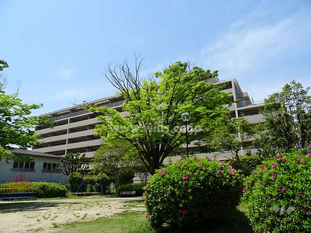 桃山台ヒルズの遠景。南側には「しいのき公園」があります。