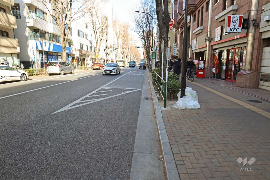 敷地西側の前面道路（南側から）