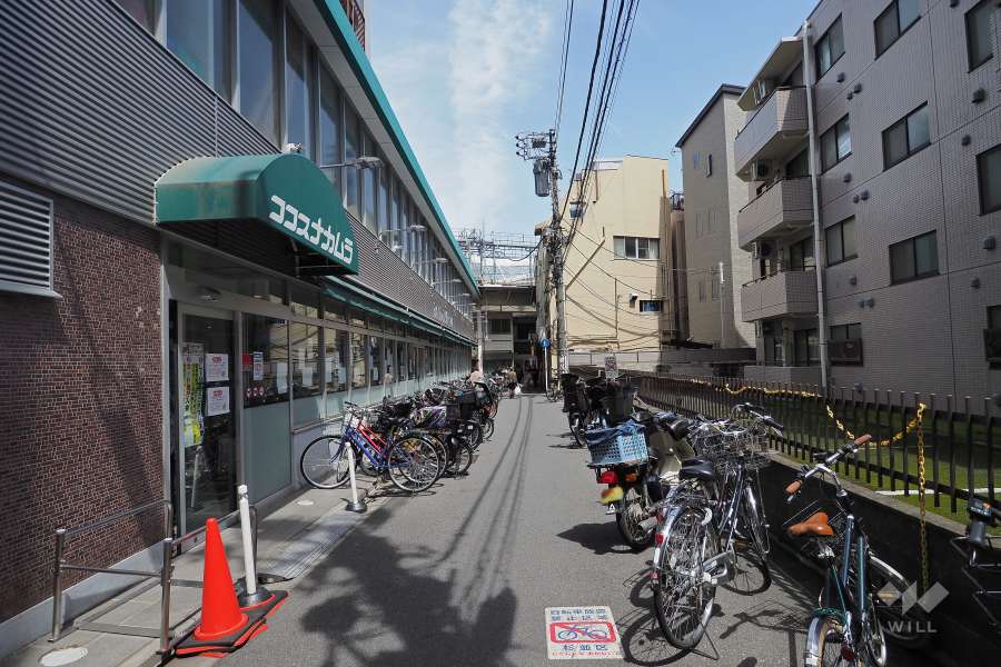 敷地南側の前面道路（西側から）