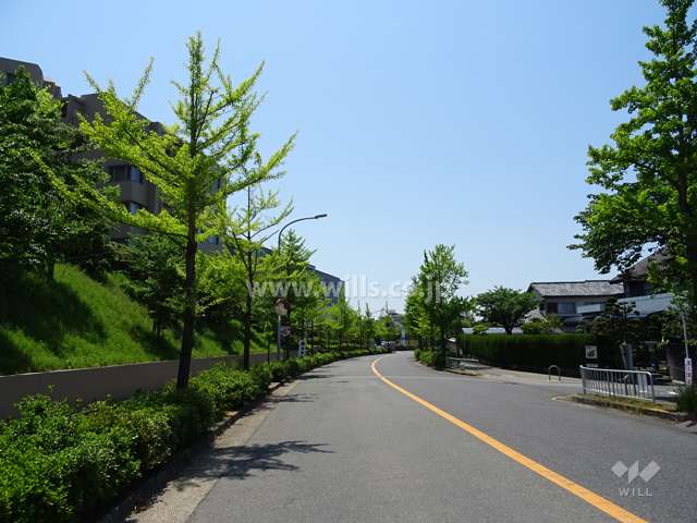 敷地北西側の前面道路。2車線のバス通りで、豊中市との市境になります。