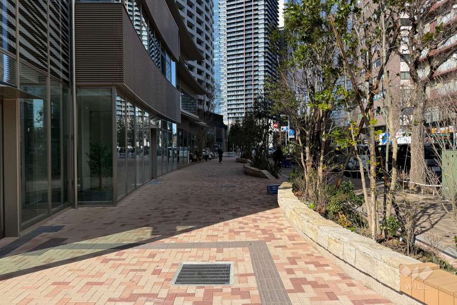 敷地の東側前面道路（南側から）