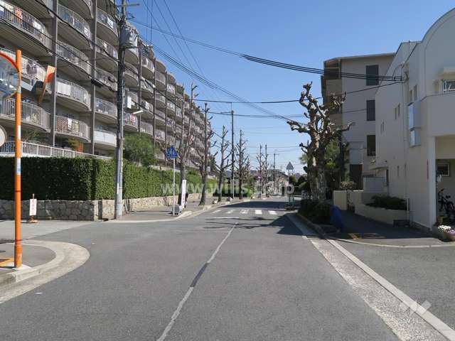 敷地南側の前面道路
