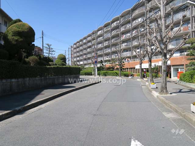 敷地南側の前面道路