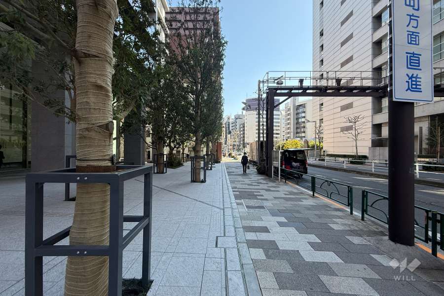 敷地の南側前面道路（西側から）