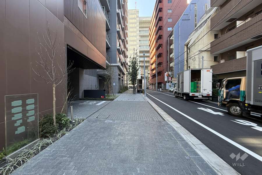 敷地の西側前面道路（北側から）