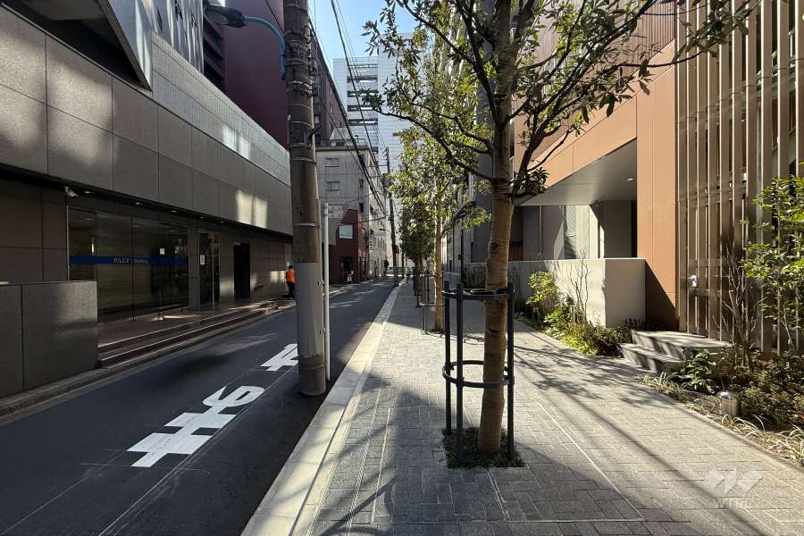 敷地の東側前面道路（北側から）