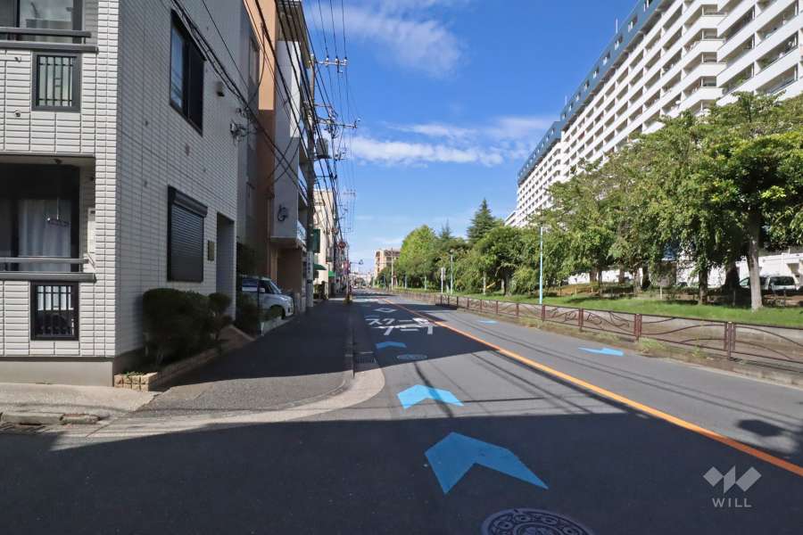 敷地西側の前面道路（南側から）